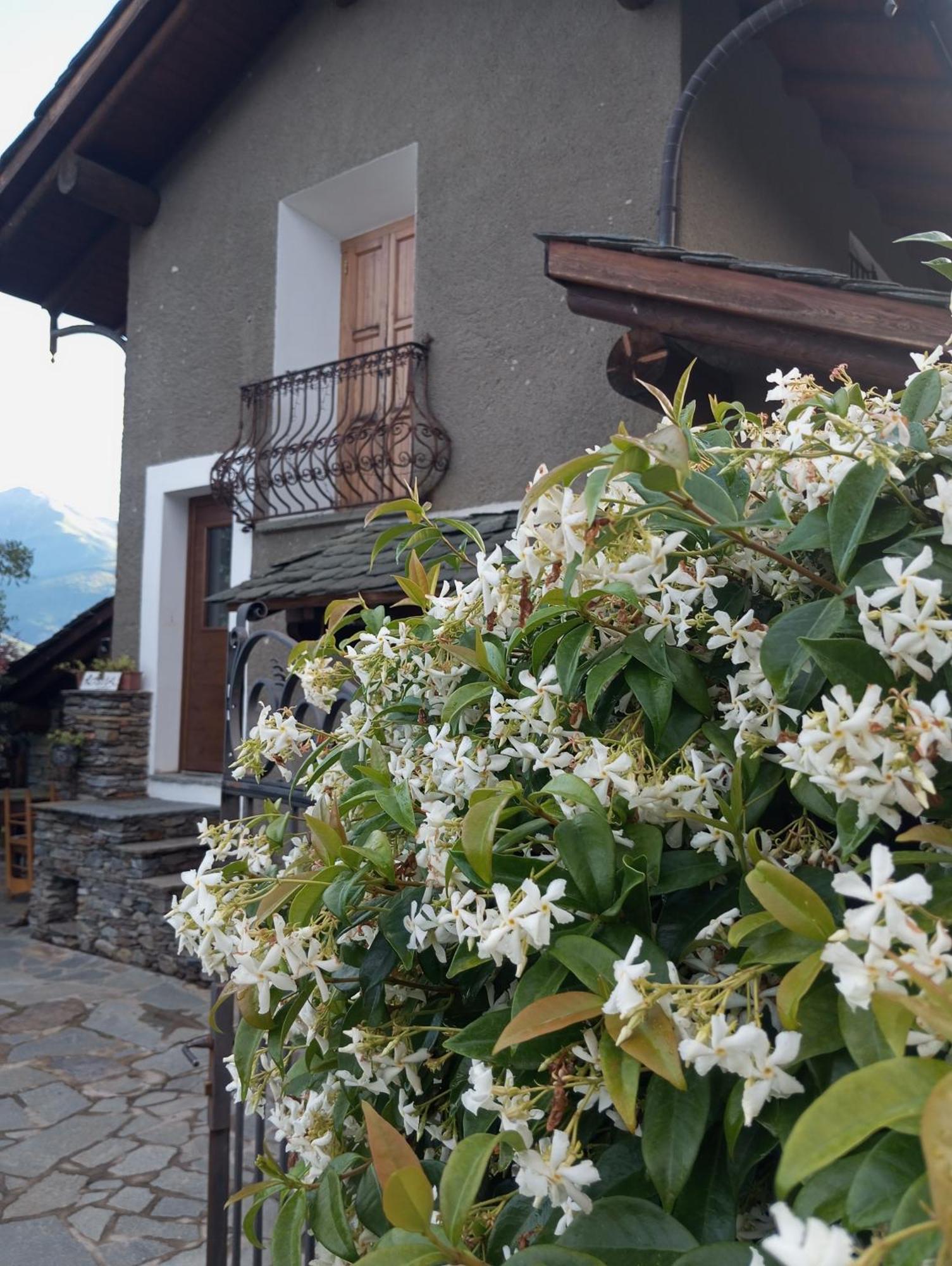Rosina House E Chalet Colico Exteriér fotografie
